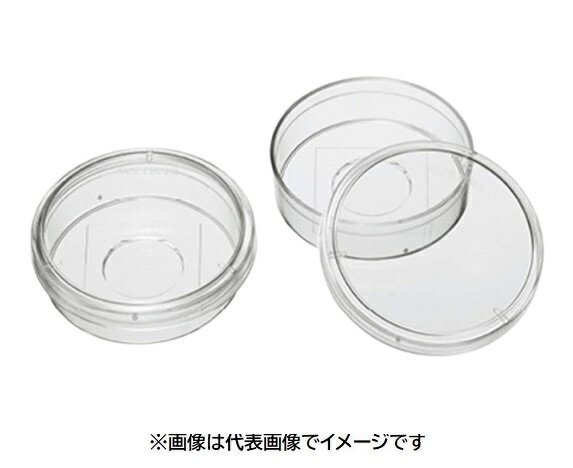 松浪 ガラスボトムディッシュ HyDRO D11141H 50入