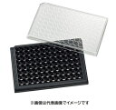 松浪 ガラスボトムプレート GP96001 10入