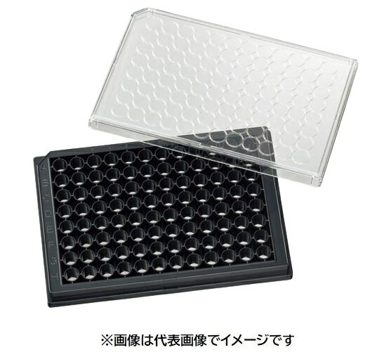 松浪 ガラスボトムプレート GP96003 10入