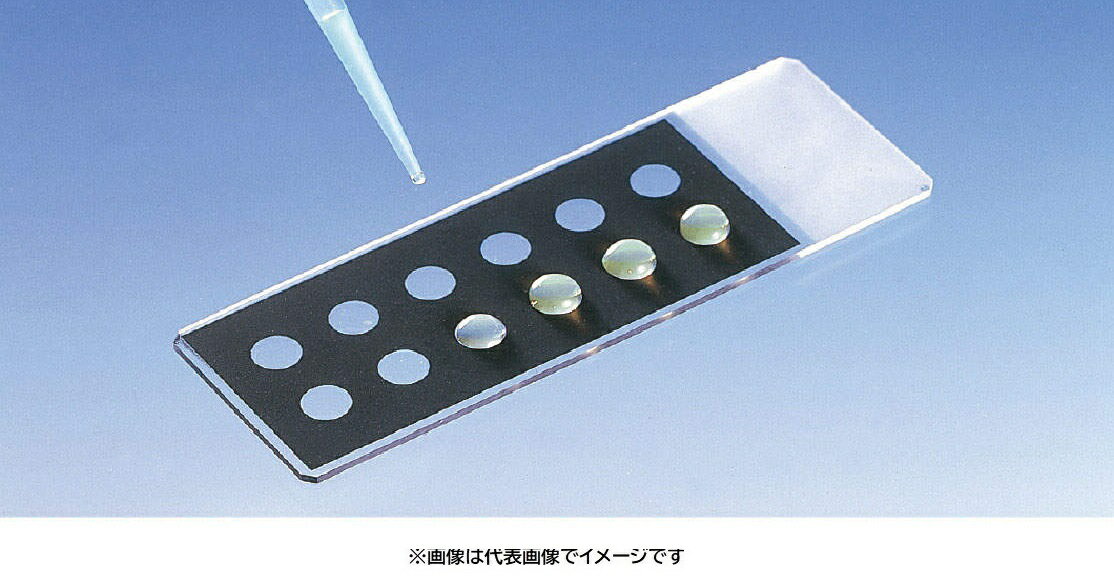 松浪 TF1205M 100入 撥水性印刷スライドグラス 黒色