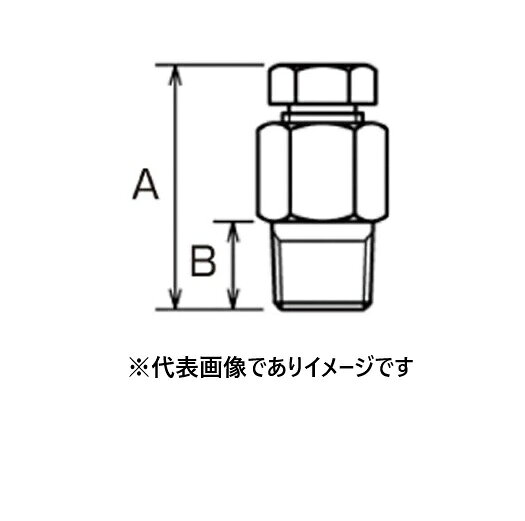【画像はイメージです】発送日が表示納期を超える場合は、別途ご相談いたします。 ★数量・大口割引も受付中！お問い合わせください。 TEL：045-243-0716 ☆注意喚起：弊社ハカルドットコム楽天市場店のデーターを無断転用した悪質なサイトを発見致しました。 楽天市場以外に掲載されておりましたら無断転用サイトの可能性がありますのでご注意ください ■コンプレッションフィッティング R3/8CF φ4.8mmの特長 ●測温抵抗体、熱電対の挿入長さを調節できる取付ネジです ●本体材質：SUS304 コッター材質：銅 ●規格： R3/8CF ●適応径(mm)： φ4.8 ●サイズA(mm)： 43 ●サイズB(mm)： 14【画像はイメージです】発送日が表示納期を超える場合は、別途ご相談いたします。 ★数量・大口割引も受付中！お問い合わせください。 TEL：045-243-0716 ☆注意喚起：弊社ハカルドットコム楽天市場店のデーターを無断転用した悪質なサイトを発見致しました。 楽天市場以外に掲載されておりましたら無断転用サイトの可能性がありますのでご注意ください ■コンプレッションフィッティング R3/8CF φ4.8mmの特長 ●測温抵抗体、熱電対の挿入長さを調節できる取付ネジです ●本体材質：SUS304 コッター材質：銅 ●規格： R3/8CF ●適応径(mm)： φ4.8 ●サイズA(mm)： 43 ●サイズB(mm)： 14
