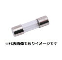 カイセ F31 ヒューズ 0.5A 250V(4)