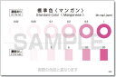共立理化学 ZM-Mn-S 標準色 パックテストズーム用 マンガン