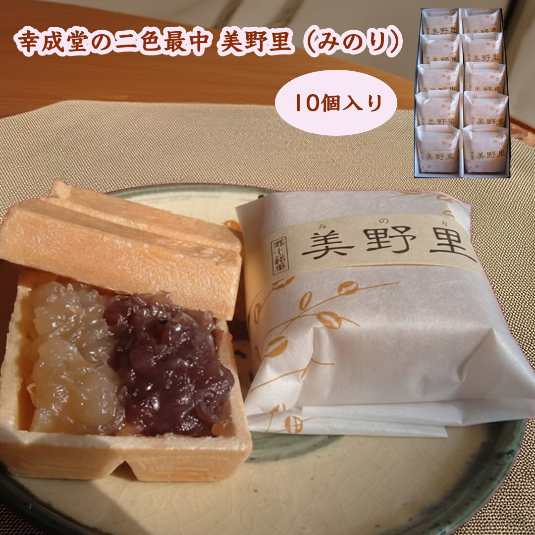 幸成堂の二色最中 美野里(みのり) 10個入り 香ばしい最中 大納言小豆 備中白小豆 ご贈答お薦め品 幸成堂看板商品