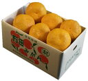 栗山園の田の浦オレンジ(新甘夏)2Lサイズ7kg【送料無料(沖縄1000円)】(4)