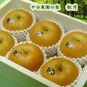 小山田 中谷農園の梨 秋月(あきづき) 中箱(大玉5~6個入り) 送料無料/沖縄は1000円 農園直送 濃厚な甘さ たっぷりの果汁 大玉 9月上旬~9月中旬お届け