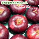 信州 安曇野 あらやファームのりんご 秋映え 約3kg (送料無料/沖縄は1000円) 無袋りんご 大きくて甘くて酸味があります。収穫時期9月末、10月初め頃 信州安曇野 あらやファームから農園直送