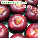 信州 安曇野 あらやファームのりんご 秋映え 約5kg (送料無料/沖縄は1000円) 無袋りんご 大きくて甘くて酸味があります。収穫時期9月末、10月初め頃 信州安曇野 あらやファームから農園直送