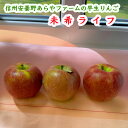 信州 安曇野 あらやファームのりんご 未希ライフ お試しセット3個入り シャキっとした食感 甘みと酸味のバランス 送料無料(北海道、沖縄は1000円)うれしいお...