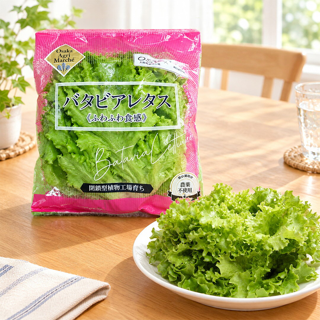 大阪公立大学植物工場 バタビアレタス(約70g)12個入り/送料無料(北海道、沖縄は1000円) 農薬不使用 新鮮 長持ち ふわ…
