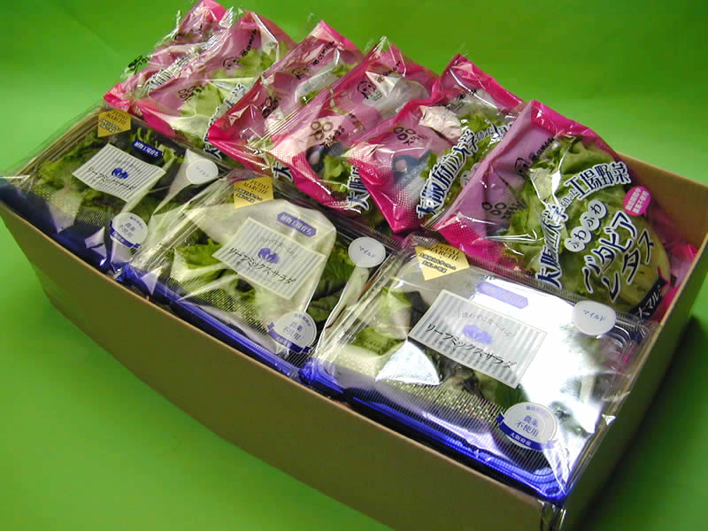 低カリウムレタス 三重県伊賀産【野菜セット同梱で送料無料】