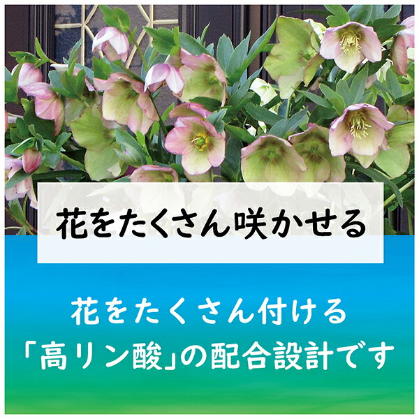 肥料 クリスマスローズ クレマチスの肥料 500g 東商 肥料 宿根草 肥料 クリスマス...