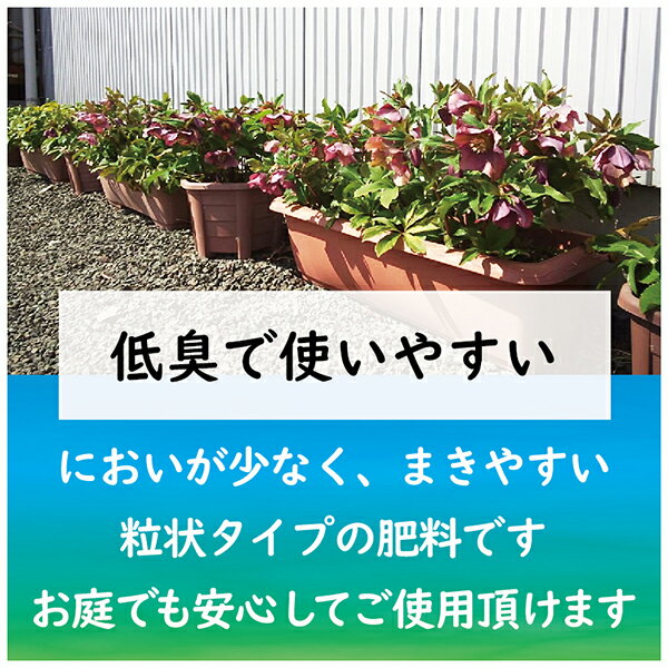 肥料 クリスマスローズ クレマチスの肥料 500g 東商 肥料 宿根草 肥料 クリスマス...