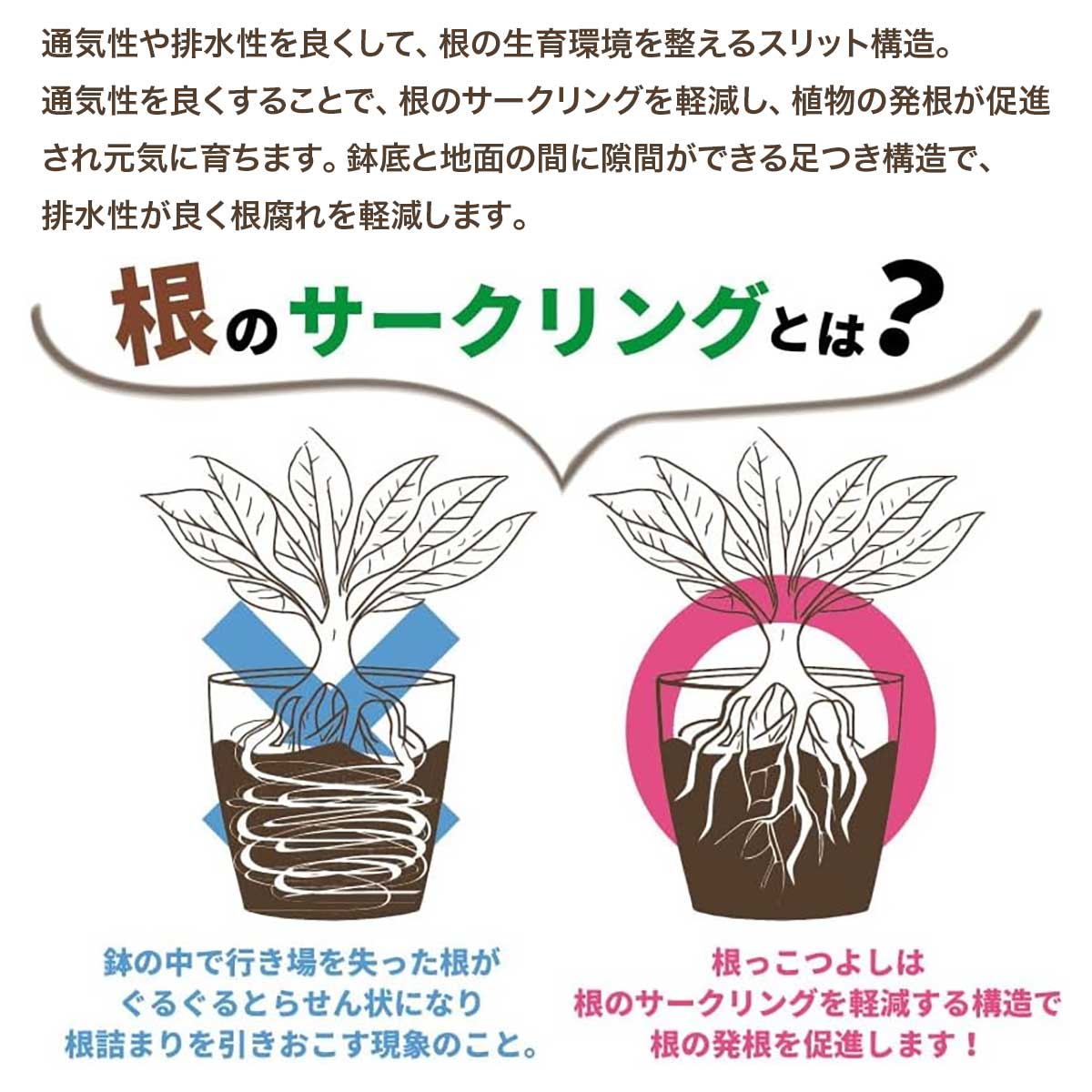 ���ä��Ĥ褷 4���9�� �֥�å� ���åץ륦������ ����åȥǥ�����ȭ �����ǥ˥�����