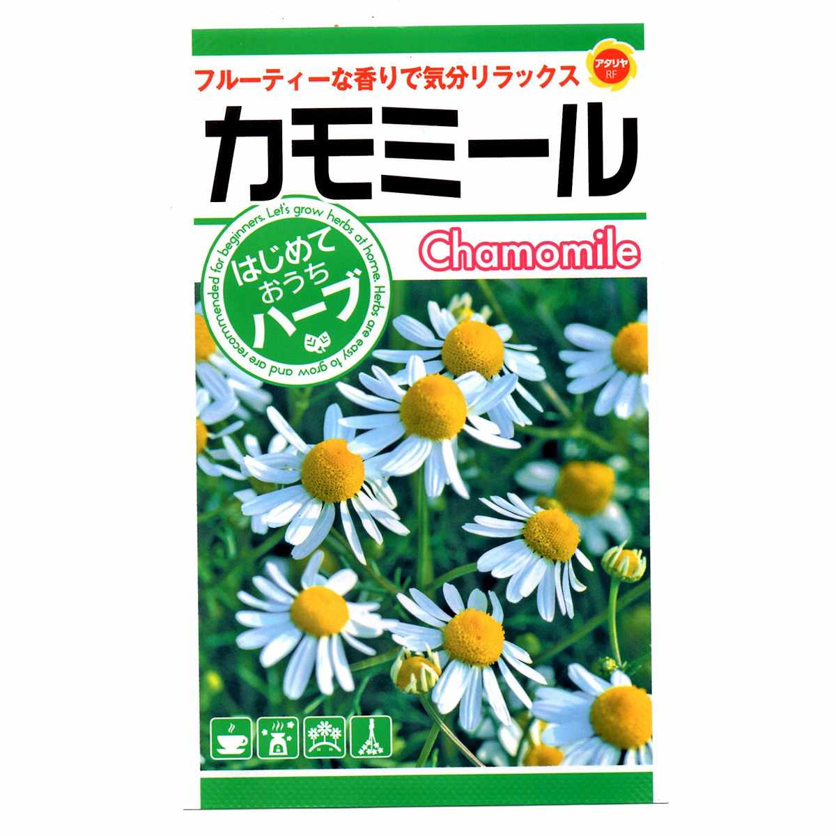 カモミール アタリヤ農園 Chamomile フルーティーな香りで気分リラックス はじめておうちでハーブ ハーブ種 M