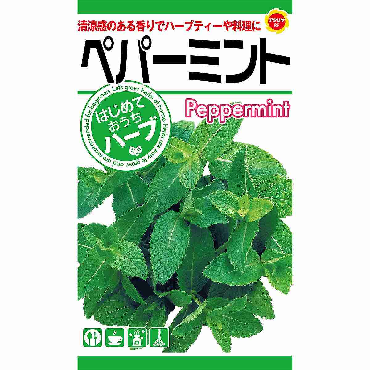 ※在庫不足の場合メーカーより取り寄せになります。※メーカー欠品の場合、勝手ながらご注文をキャンセルまたは数量を変更させていただきます。強いメントールの香りが爽やかです。葉や茎は香りづけやハーブティーに、花はポプリやドライフラワー、切り花などに利用されます。生産地(生産国)：セルビア使用商品名：ペパーミント発芽温度：15〜20度発芽日数：10〜15日栽培日数：80〜90日株間：約30cmまき時期北海道：4月中旬〜6月中旬寒地：4月上旬〜6月中旬、9月上旬〜10月上旬標準地：3月下旬〜6月上旬、9月中旬〜10月中旬暖地：3月上旬〜5月上旬、9月下旬〜10月下旬1.種まき・育苗連結ポットに用土を入れてタネを4〜5粒ずつまき、ごく薄く覆土をします。生育にしたがって間引き1本立にし、本葉が4〜5枚になるまで育苗します。2.畑の準備植えつけの2週間くらい前までに畑に石灰・堆肥・元肥をまいてよく耕し、幅90cm、高さ10cmほどの畝を立てます。3.植えつけ・管理本葉が4〜5枚くらいに育ったころ、株間30cmくらいの間隔で植え穴を掘り、植えつけます。2週間に1回くらいの割合で液肥を追肥として与えます。4.収穫必要な分だけ葉先を摘み取って収穫します。春から夏にかけては、整枝をかねてどんどん収穫してください。