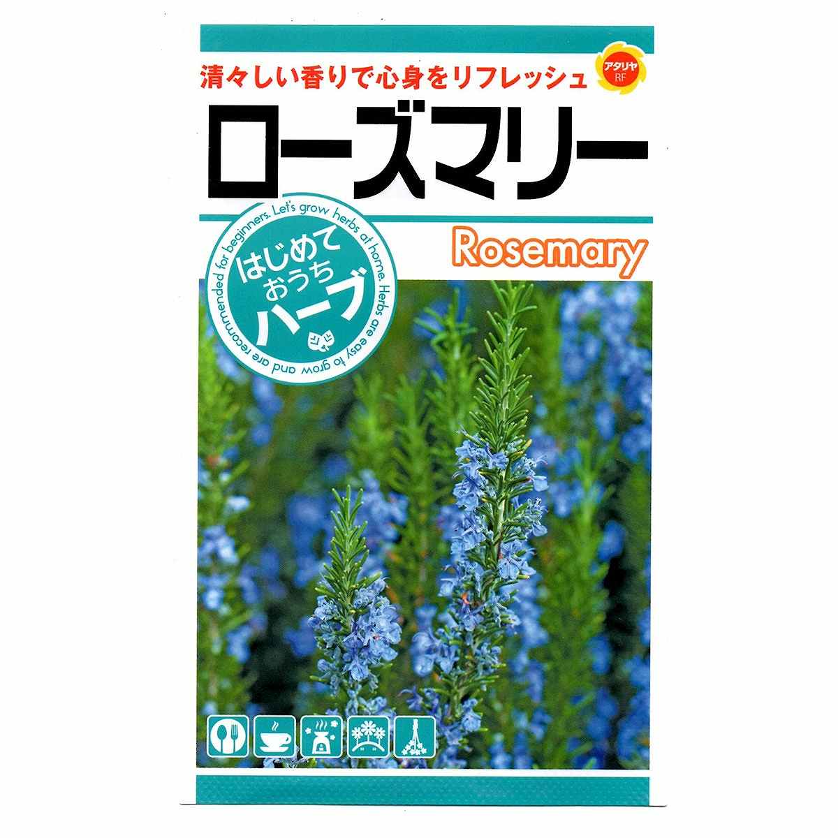 ※在庫不足の場合メーカーより取り寄せになります。※メーカー欠品の場合、勝手ながらご注文をキャンセルまたは数量を変更させていただきます。地中海沿岸地方が原産で、全体に芳香があり、枝や葉を香料に用いる代表的なハーブです。淡青色の露のような小さな花を咲かせます。生産地(生産国)：オランダ使用商品名：ローズマリー栽培日数：約400日発芽温度：20〜25度発芽日数：10日まき時期北海道：4月中旬〜6月下旬、秋は栽培不向き寒地：4月上旬〜6月下旬、9月上旬〜9月下旬標準地：3月下旬〜6月下旬、9月上旬〜10月中旬暖地：3月中旬〜6月下旬、9月上旬〜10月中旬種まき・育苗3号ポットにタネを2〜3粒ずつまき、覆土はタネが隠れる程度施します。間引きながら1本立にし、本葉が3〜4枚になるまで育苗します。花壇の準備植えつけの2週間くらい前までに花壇全体に石灰・堆肥・元肥を施し、すき込んでよく耕します。植えつけ・管理高さが3〜4cmに育ったころ、株間30cmで植え穴を掘り、根鉢を崩さないようにして植えつけます。2ケ月に1回、化成肥料の置き肥を追肥として与えます。開花香りの強くなる、晴れた日の朝のうちに、必要な分だけを摘み取って利用します。花が咲いた後、蒸れを防ぐために3分の2くらいまで切り戻します。