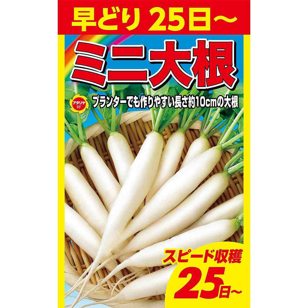 早どり ミニ大根 アタリヤ農園 プランターでも作りやすい長さ約10cmの大根 野菜種 M