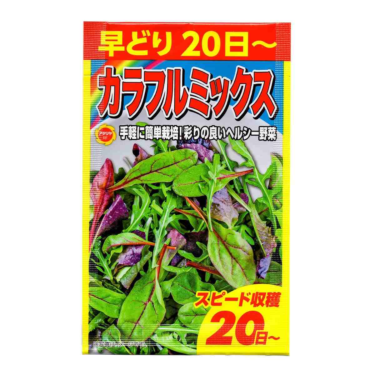 早どり カラフルミックス アタリヤ農園 手軽に簡単栽培 彩りのよいヘルシー野菜 スピード収穫20日から 野菜種 Mのサムネイル