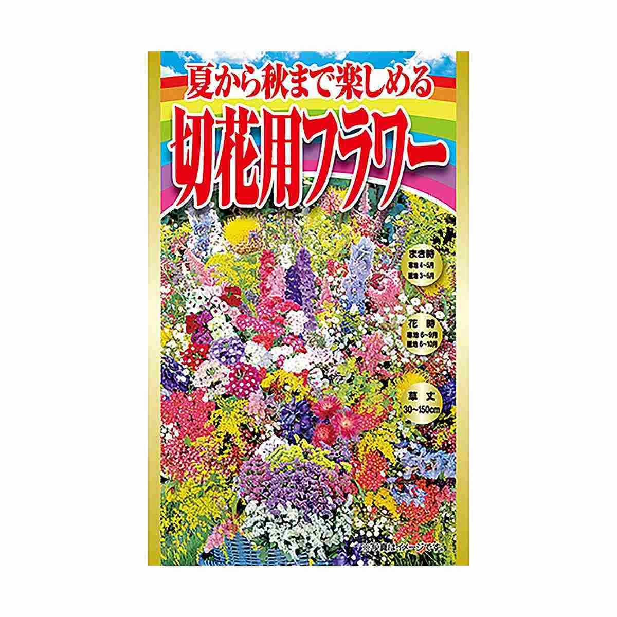 乐天商城 - 夏から秋まで楽しめる 切花用フラワー アタリヤ農園 花種