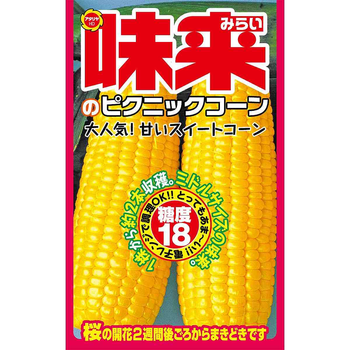 味来のピクニックコーン アタリヤ農園 大人気 甘いスイートコーン 野菜種 野菜 種子 野菜の種