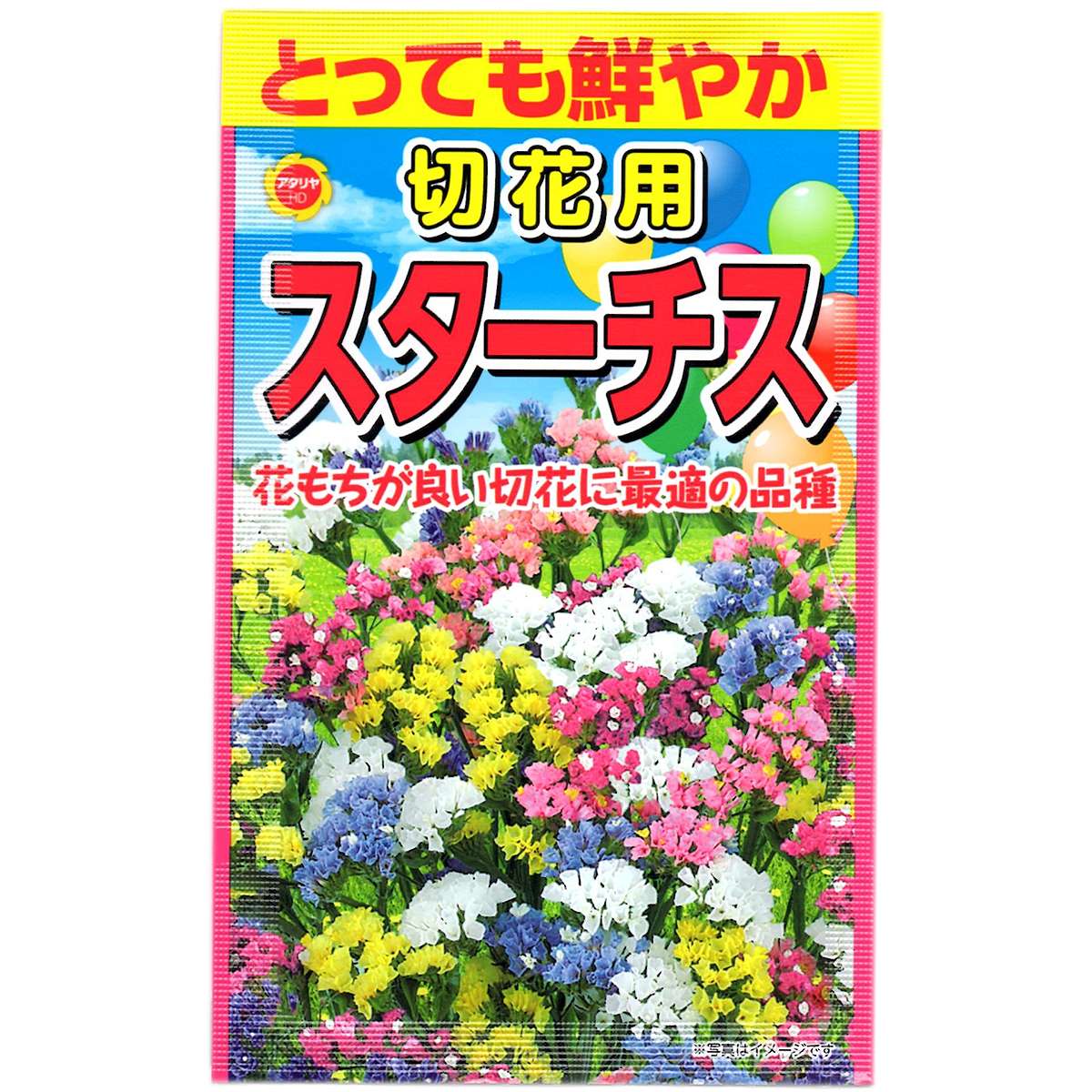 とっても鮮やか 切花用 スターチス アタリヤ農園 スターチス 種 ハナハマサジ 種 スターチスの種 花 種 花の種 花種 Mのサムネイル