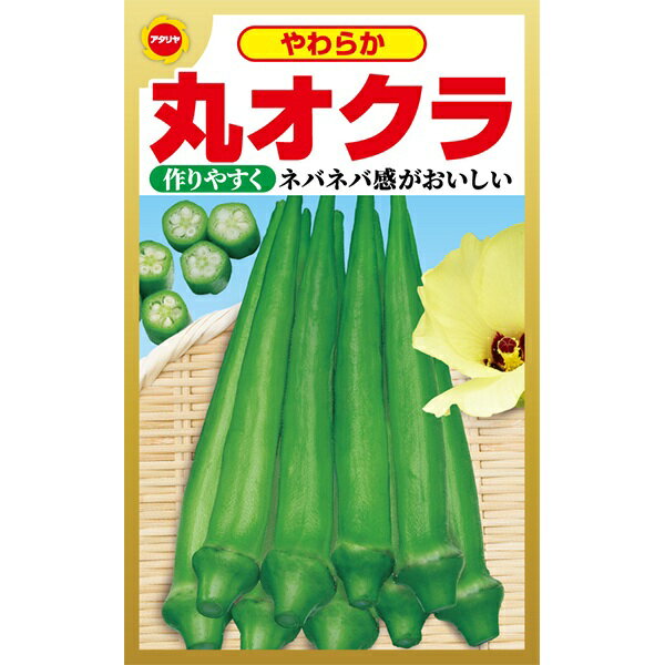 やわらか 丸オクラ アタリヤ農園 作りやすい やわらかくて ネバネバ感が美味しい 野菜種 Mのサムネイル