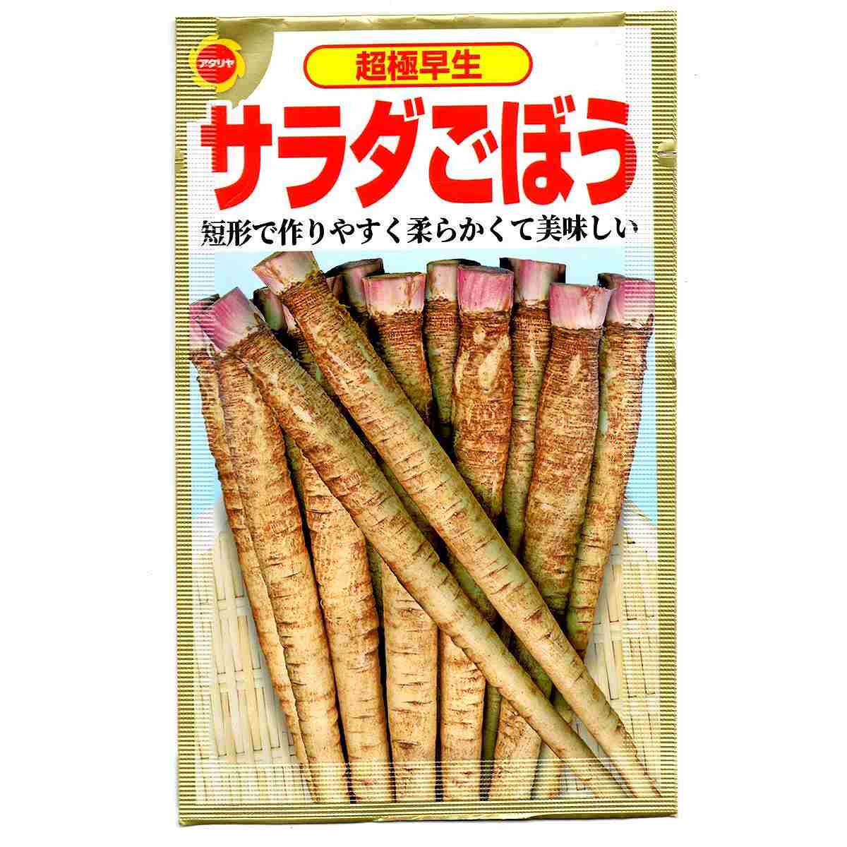 乐天商城 - アタリヤ農園 野菜種 超極早生 サラダごぼう 野菜 種子 野菜の種