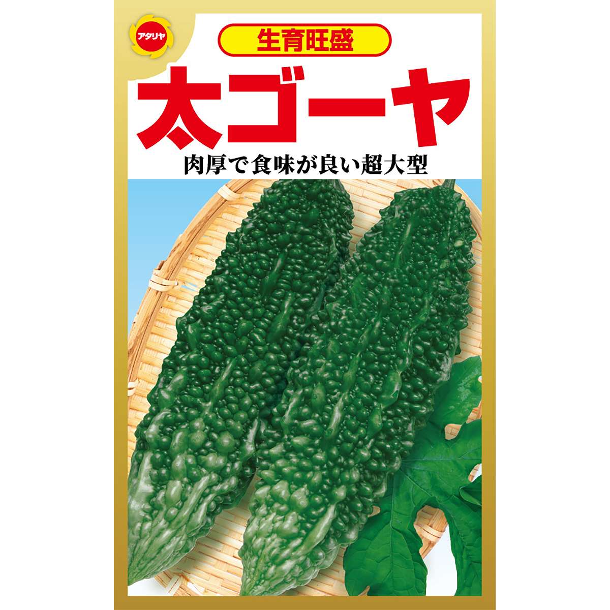 乐天商城 - 生育旺盛 太ゴーヤ アタリヤ農園 ゴーヤ 種 ゴーヤ 種子 ゴーヤの種 野菜種 M