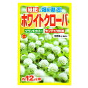 緑肥 畑を復活 ホワイトクローバ アタリヤ農園 グランドカバー センチュウ軽減 景観緑肥 M
