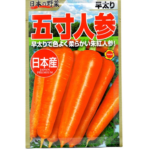 日本の野菜 早太り 五寸人参 アタリヤ農園 早太りで色よく柔らかい 朱紅人参 野菜種 野菜 種子 野菜の種