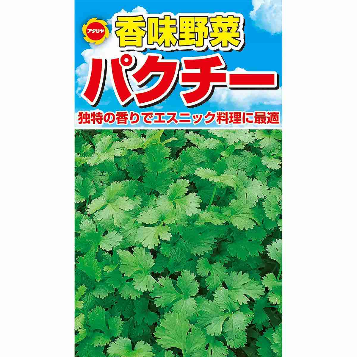 香味野菜 パクチー アタリヤ農園 独特の香りでエスニック料理に最適 野菜種 M