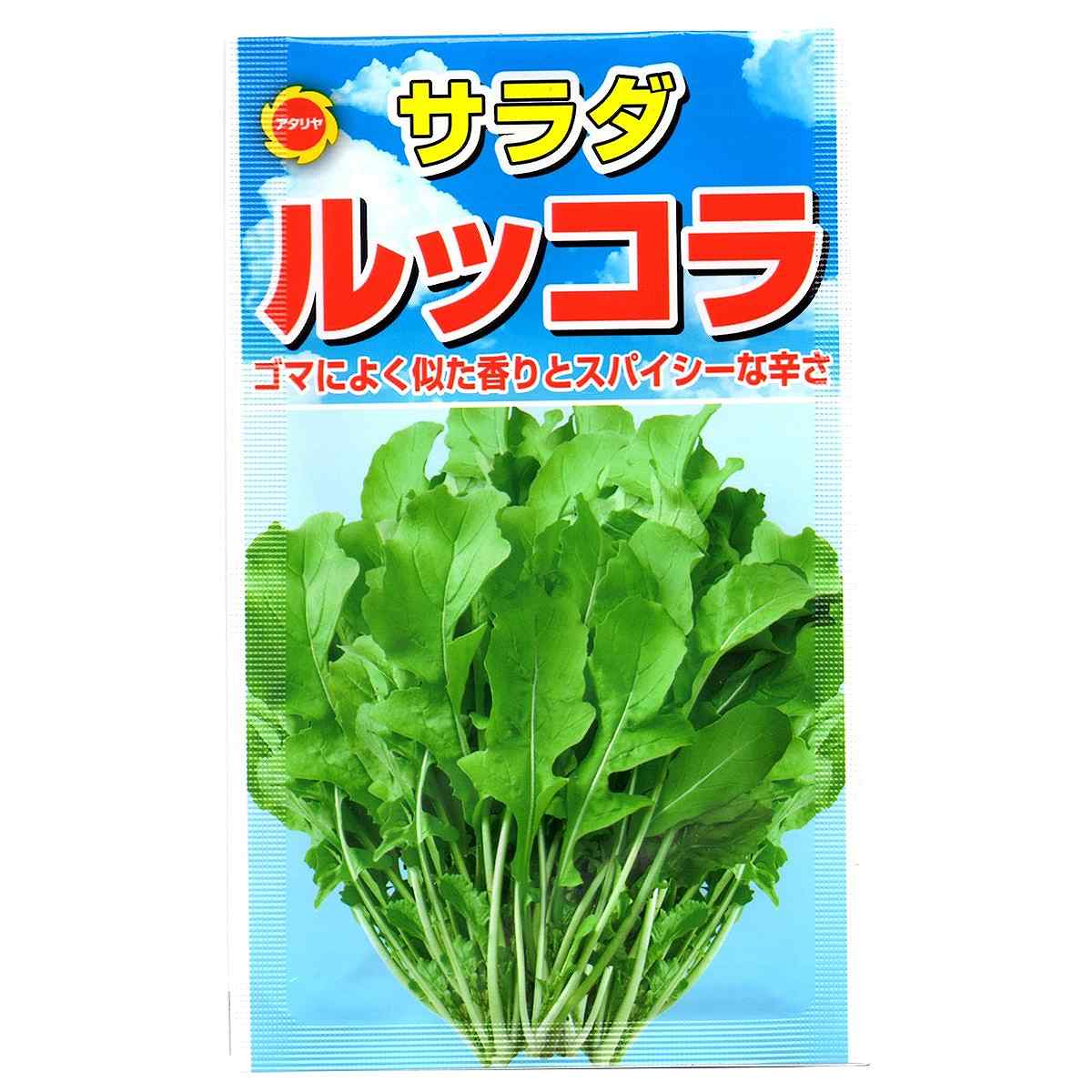 サラダ ルッコラ アタリヤ農園 ゴマによく似た香りとスパイシーな辛さ 野菜種 M