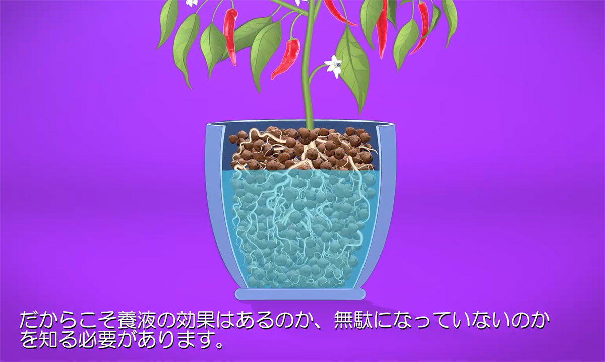 HYDRO ROKZ(�ϥ��ɥ� ���å�) 40L ATAMI ��̺��� ���� ������ ȭ�� ȭ���� ȭ���� ������ɻ� ��̺��������� ȭ������ ȭ���� �ϥ��ɥ�������㡼 ����