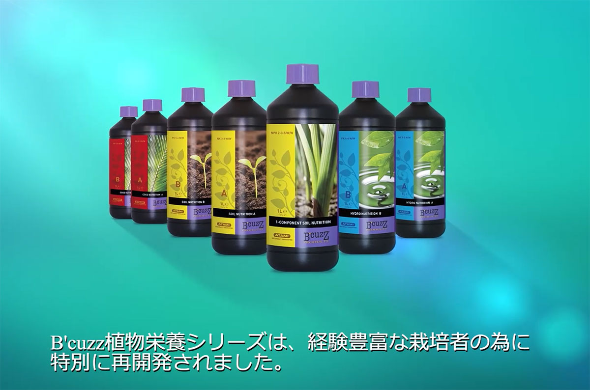 肥料 B'CUZZ SOIL (ビーカズ ソイル) A液 B液 各500ml ATAMI 肥料 野菜 肥料 ハー...