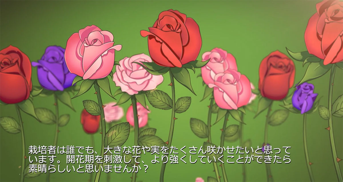B'CUZZ COCO BLOOM STIMULATOR (ビーカズ ココ ブルーム スティミュレーター) 100m...