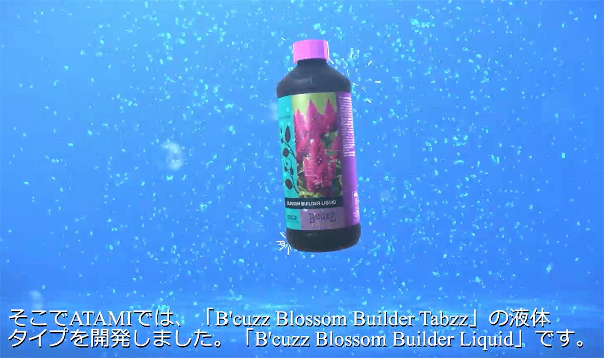 B'CUZZ BLOSSOM BUILDER LIQUID (ビーカズ ブロッサム ビルダー リキッド) 100ml A...