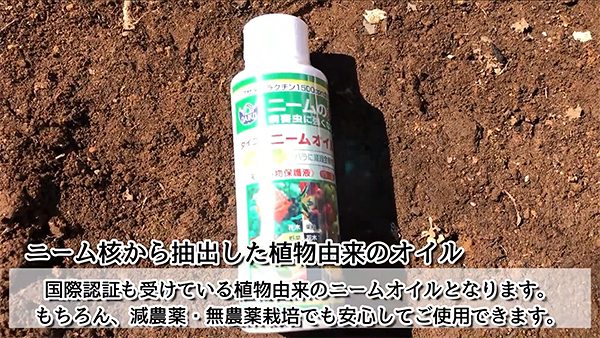ニームオイル 1L ×3本 天然植物保護液 原液 業務用 ダイコー ニーム 忌避剤 ニーム...