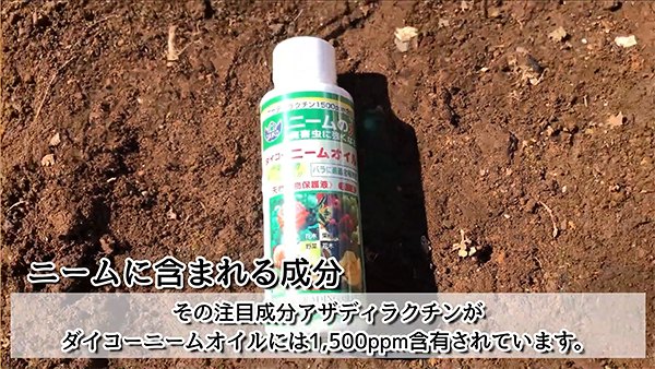 �ˡ��४���� 250ml ��3�� ŷ����ʪ�ݸ�� ���� ��̳�� �������� �ˡ��� ����� �ˡ��४���븶�� ���̻��� �������� ��� ��ʪ ���� ���� �������