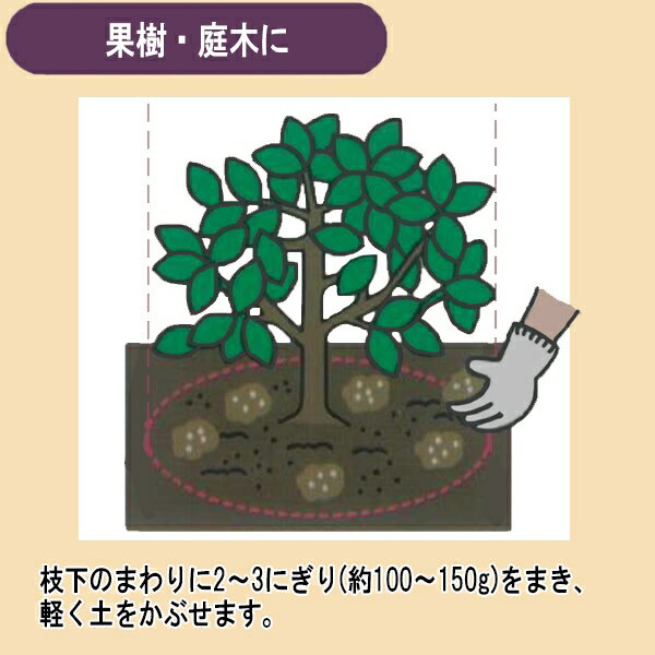 肥料 国産 有機たっぷり 野菜・果樹の肥料 2kg 大協肥糧 肥料 野菜 肥料 果樹 肥料...