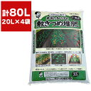 e-hanas2:10013453のサンプル画像1