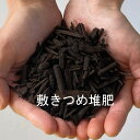 e-hanas2:10013453のサンプル画像3