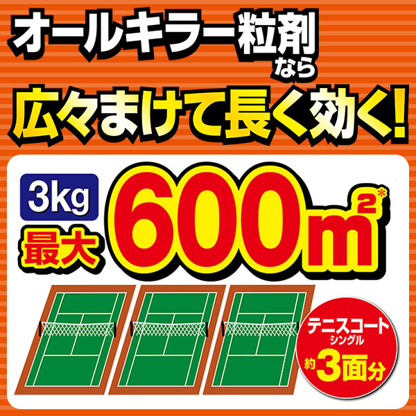 除草剤 持続 徳用 カダン除草王オールキラー粒剤 3kg×6箱(ケース販売) フマキラー