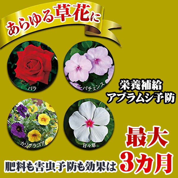 肥料 殺虫 アブラムシ カダン殺虫肥料 120g フマキラー M6