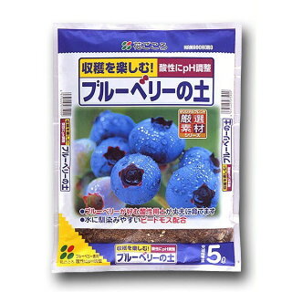 ブルーベリーの実がならない 主な原因5つと簡単な対処方法も Garden Press ブルーベリーの実がならない 主な原因5つと簡単な対処方法も Garden Press