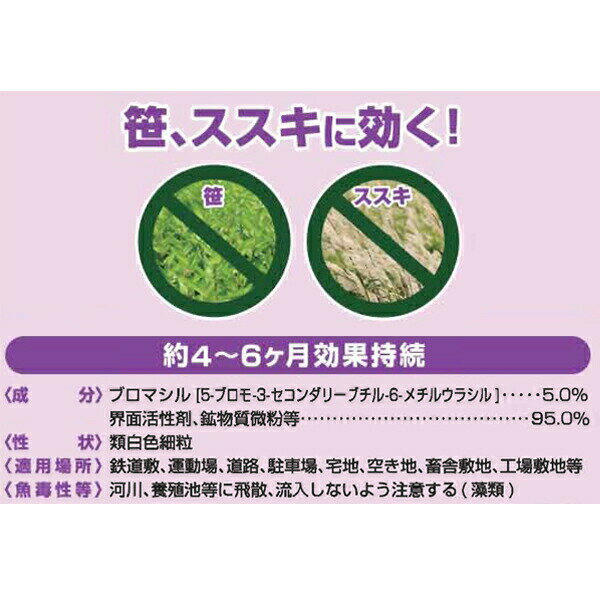 ����� �֥��ޥå���5 3kg��6Ȣ �ϡ��� ����� ��γ ����� ���� ��̳�� ����� �֥��ޥå��� ����� �֥��ޥ��� ����� γ�� ����� �����ͥ�å������