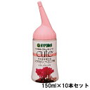 肥料 キュート そのまま使える シクラメン・ベゴニア用 150ml×10本 ハイポネックス 肥料 花 肥料 植物 肥料 ガーデニング 肥料 液肥 花 液肥 液体肥料