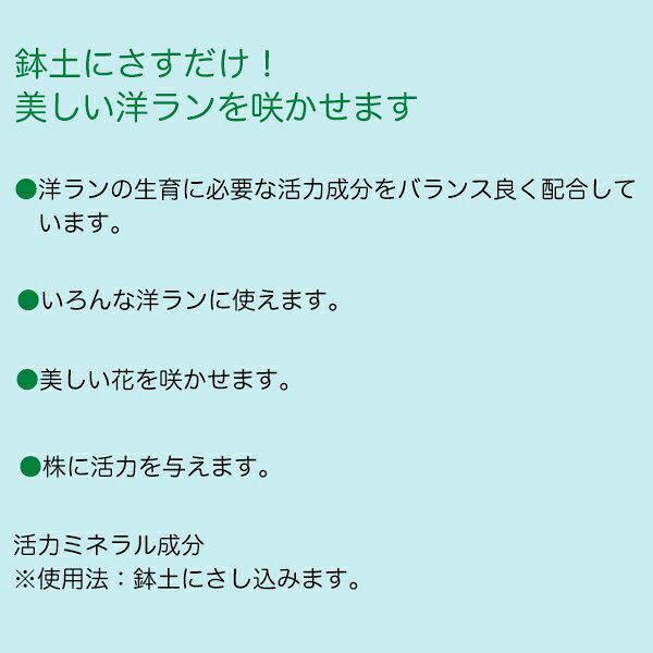 活力剤 洋ランの活力アンプル 30ml×10本 ハイポネックス 活力剤 植物 活力剤 洋ラ...