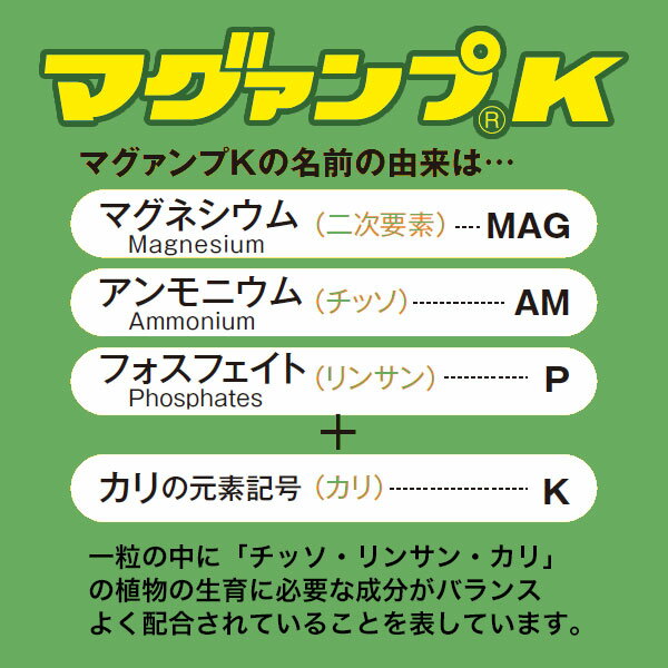 肥料 マグァンプK 大粒 1.1kg×16袋 ハイポネックス 肥料 野菜 肥料 芝生 肥料 花 ...