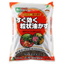 肥料 すぐ効く粒状油かす 2.5kg JOYアグリス 肥料 野菜 肥料 花 肥料 草花 肥料 アミノ酸 肥料 野菜肥料 有機肥料 野菜 有機肥料 花 有機肥料 アミノ酸 有機肥料